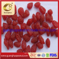 Best Quality Sncks Dried Strawberry